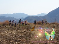 /album/santaclaradelc-caracuaro/a100-4463-jpg/