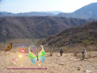 /album/santaclaradelc-caracuaro/a100-4468-jpg/