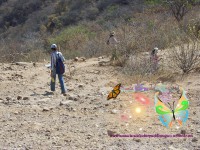 /album/santaclaradelc-caracuaro/a100-4469-jpg/