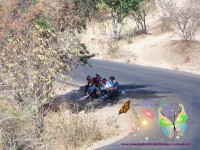 /album/santaclaradelc-caracuaro/a100-4470-jpg/