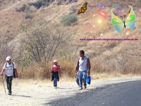 /album/santaclaradelc-caracuaro/a100-4476-jpg/