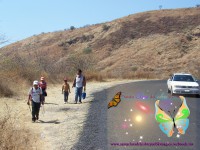 /album/santaclaradelc-caracuaro/a100-4477-jpg/