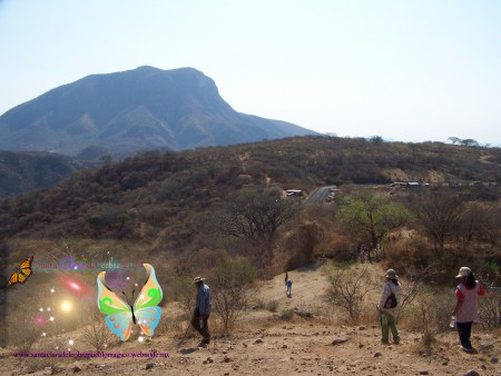 Los Peregrinos