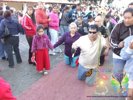 Los Acompañantes